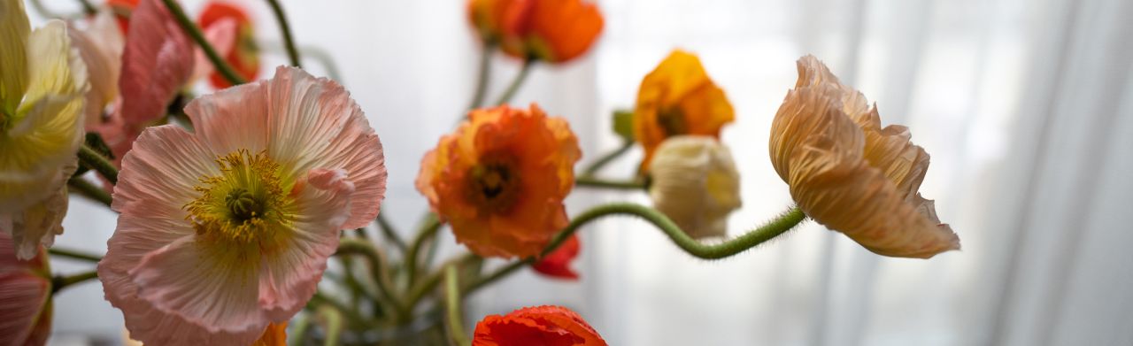 flowers for delivery